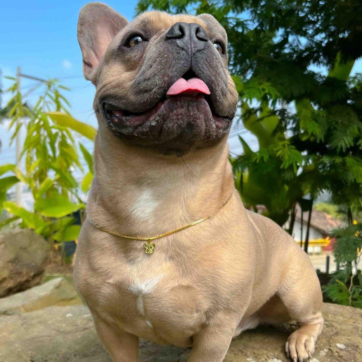 DIJE FRENCHIE LOVE C-DIJES-JOYERIA D'ORÉ-ORO LAMINADO 18K CALI
