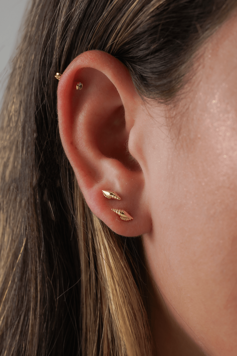 TOPO SEA SHELL-TOPOS-JOYERIA D'ORÉ-ORO LAMINADO 18K CALI